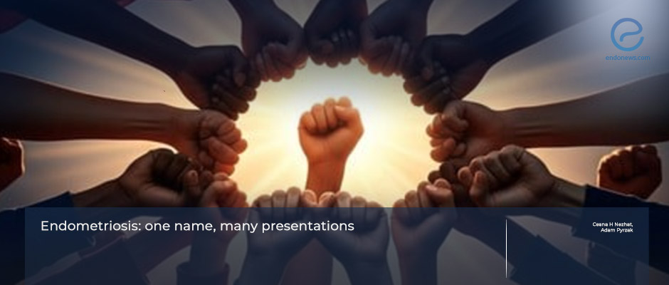 Single Name: Endometriosis — A Unifying Vision for the Disease