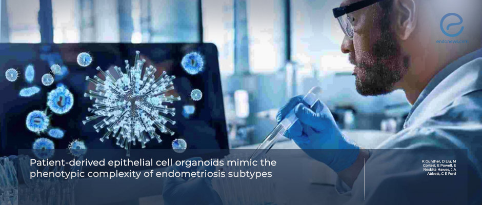 Toward Personalized Endometriosis Models: Organoids