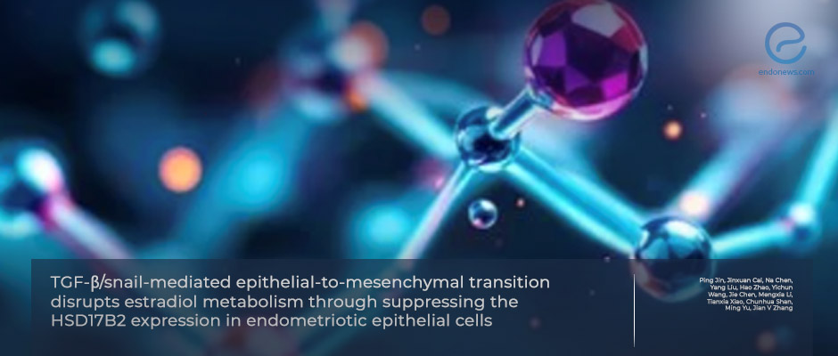 How Epithelial-to-Mesenchymal Transition Alters Estradiol Metabolism in Endometriotic Cells?