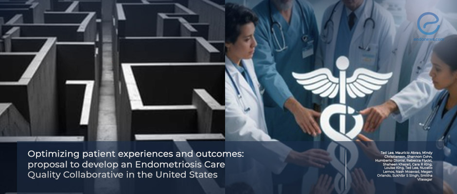 Endometriosis Care Quality Reform in the United States