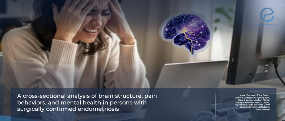 The Endometriosis–Brain Connection