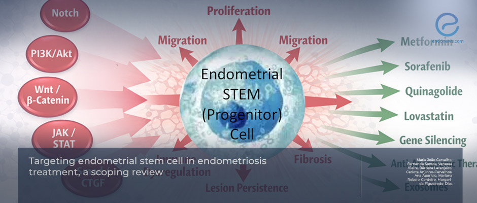Stemness as the Engine of Endometriosis Progression and Therapeutic Targeting