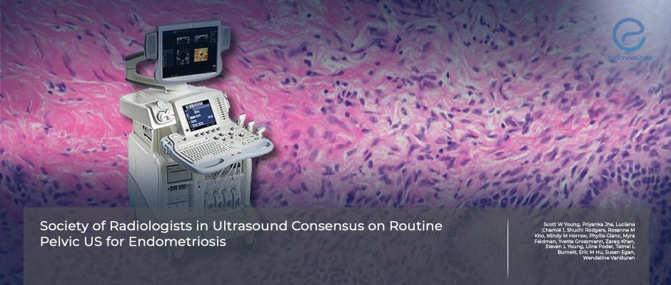 Recommendations of experts on transvaginal ultrasonography