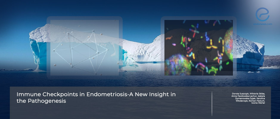 New horizons in endometriosis and immunity