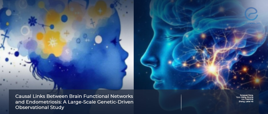 Genetic Insights into Brain Networks and Their Impact on Endometriosis Risk