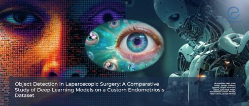 Deep Learning Models for Object Detection in Laparoscopic Endometriosis Surgery