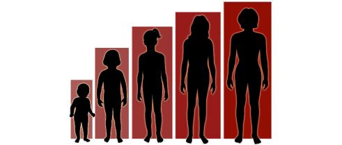 Body size, adult height and endometriosis