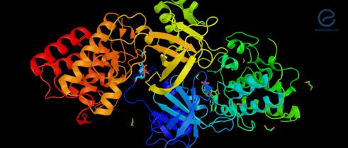 Mitogen-Activated Protein Kinase p38 modulates Inflammation in Endometriosis 