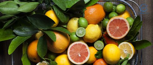 Citrus Fruits May Reduce the Risk of Endometriosis 