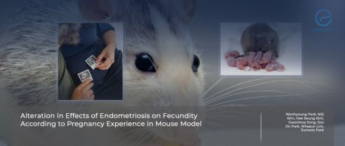 Does endometrioma alter the fecundity in mice?