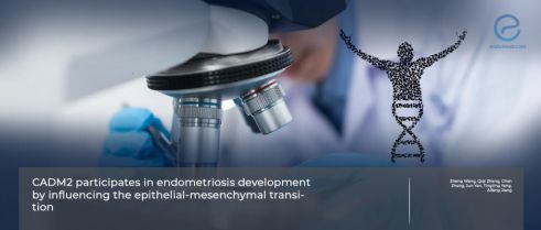 Study Sheds Light on Molecular Mechanism of Endometriosis Development