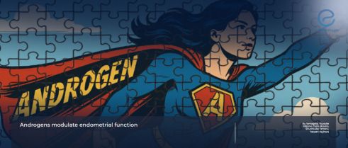 Revisiting the Role of Androgens in Endometriosis Pathology