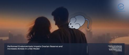 Peritoneal Endometriosis Impairs Ovarian Reserve in a Rat Model