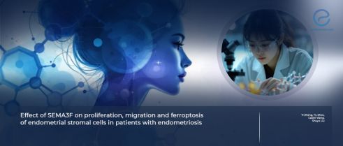 Investigating SEMA3F in Endometriosis Pathogenesis