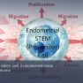 Stemness as the Engine of Endometriosis Progression and Therapeutic Targeting