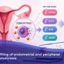Could Ferroptosis Help Explain Endometriosis Development?