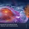 Macrophage Phenotypes Induced by Circulating Extracellular Vesicles in Endometriosis